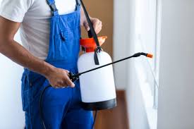 Professional Pest Control in Woodlawn Beach, FL